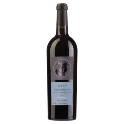 Binyamina Cabernet/Merlot '23